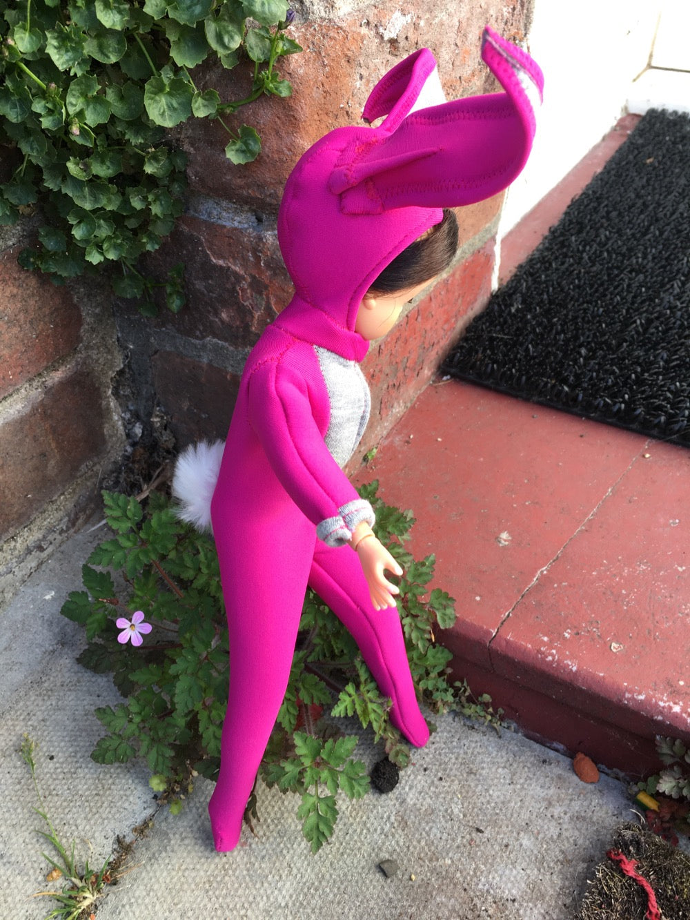 Sindy doll rabbit near the steps