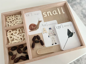 Set 3 - Custom Made Play Tray with Tinkering Alphabet Literacy Set - Literacy Resource