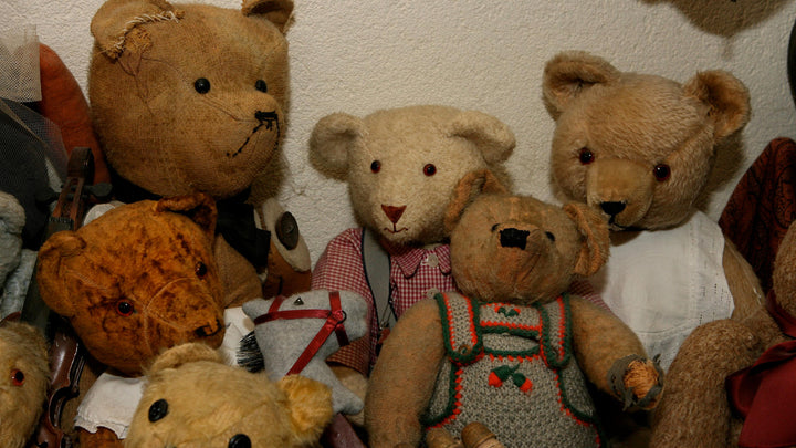 Negen elf Discriminerend Waar Komt de Naam Teddybeer Vandaan? – BIG TED