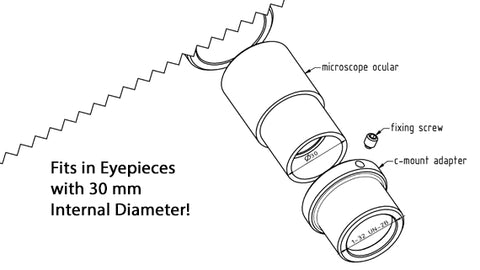 microscope example