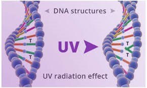 UV light effects