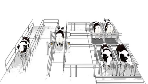 HOOF INSPECTOR - Contact-free hoof health monitoring