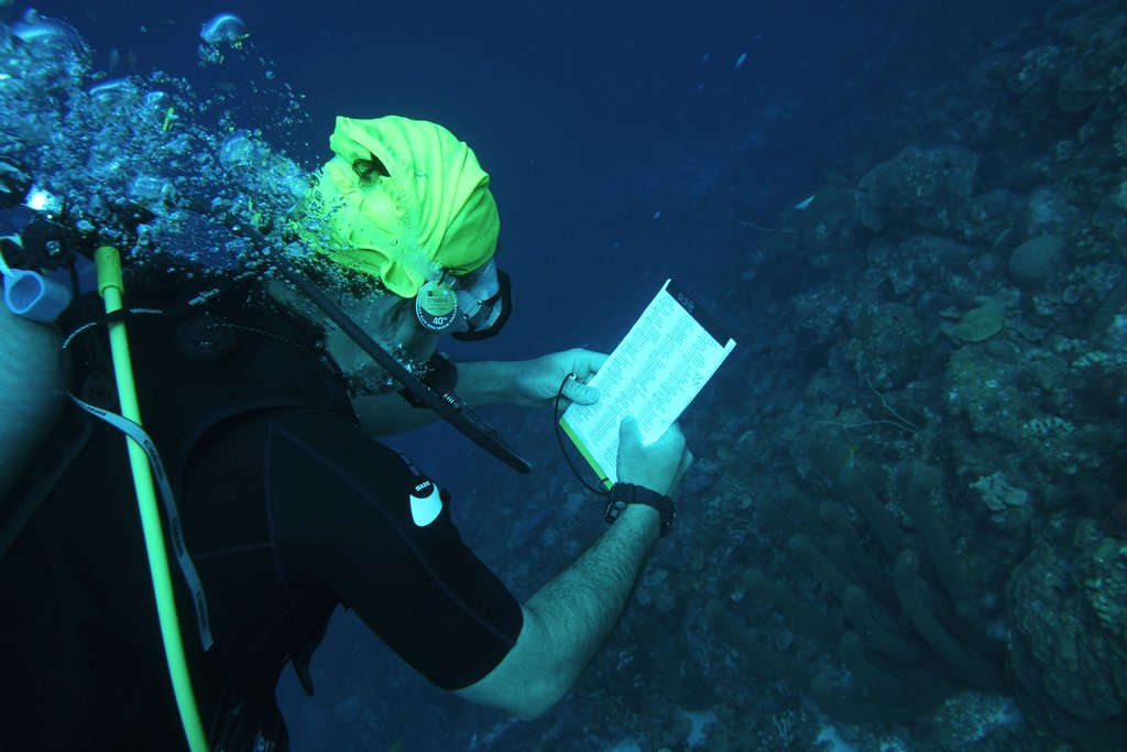  Diving Bonaire