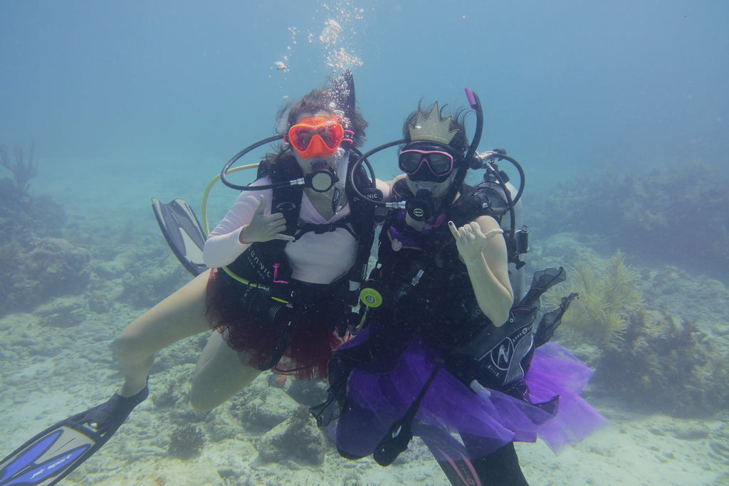 Dive on elbow reef