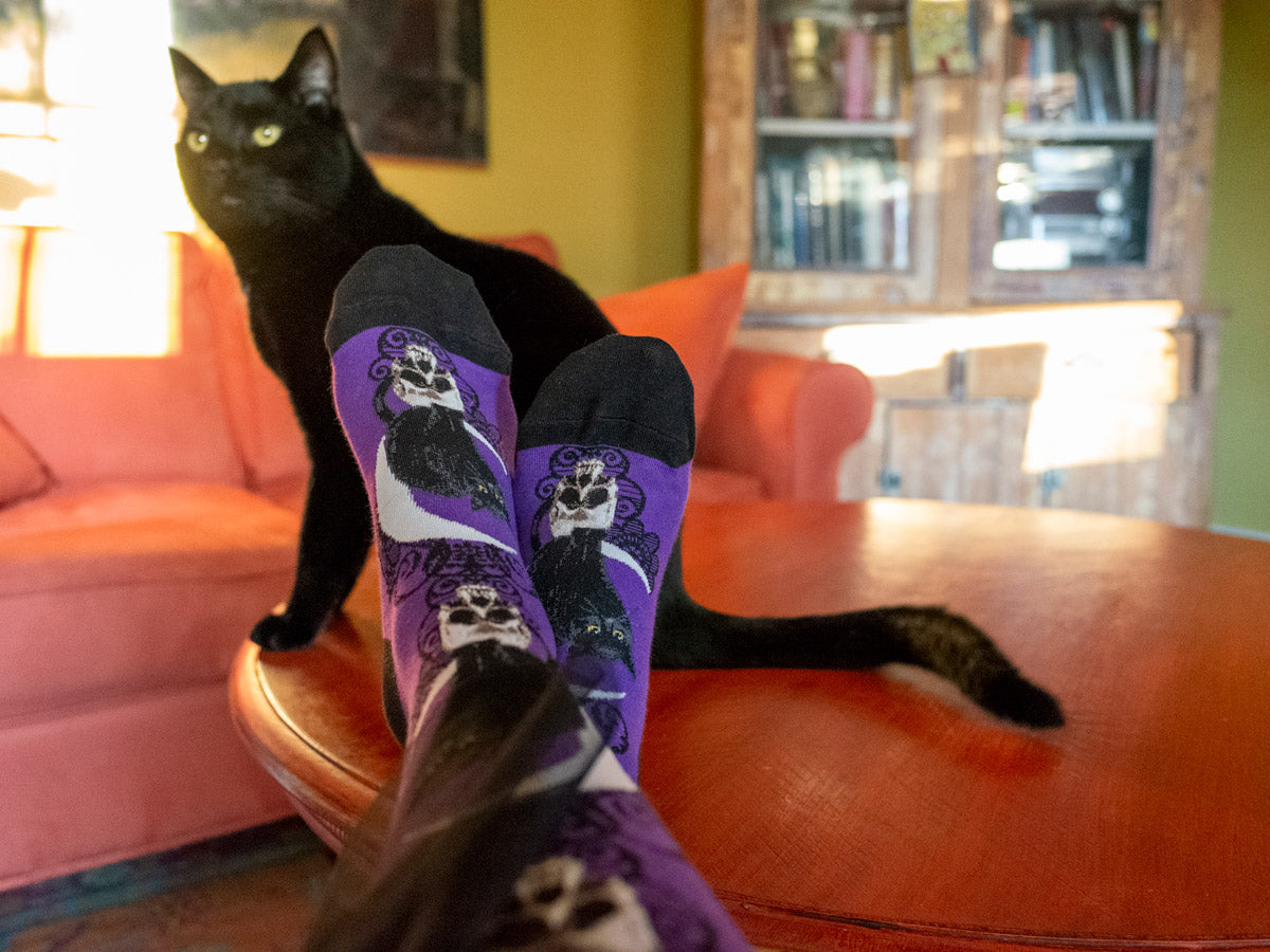 Black cat socks next to a black cat meet the criteria for the dark academia fashion trend