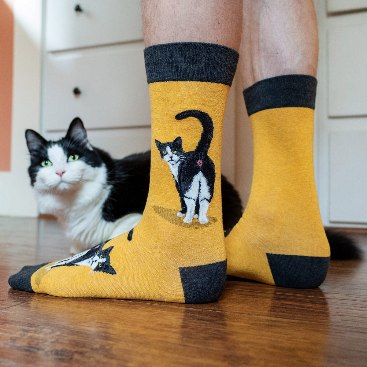 A cat watches a man in yellow men's socks with cat butts on them