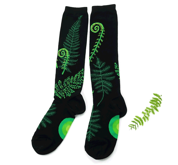 Gif with fern socks laying flat beside actual ferns