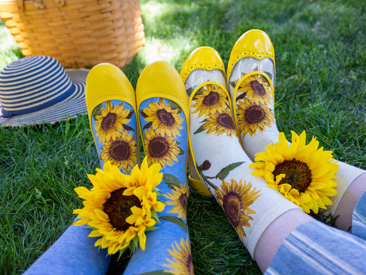 Two sets of sunflower socks with blue and cream backgrounds sit on a lawn with real sunflowers