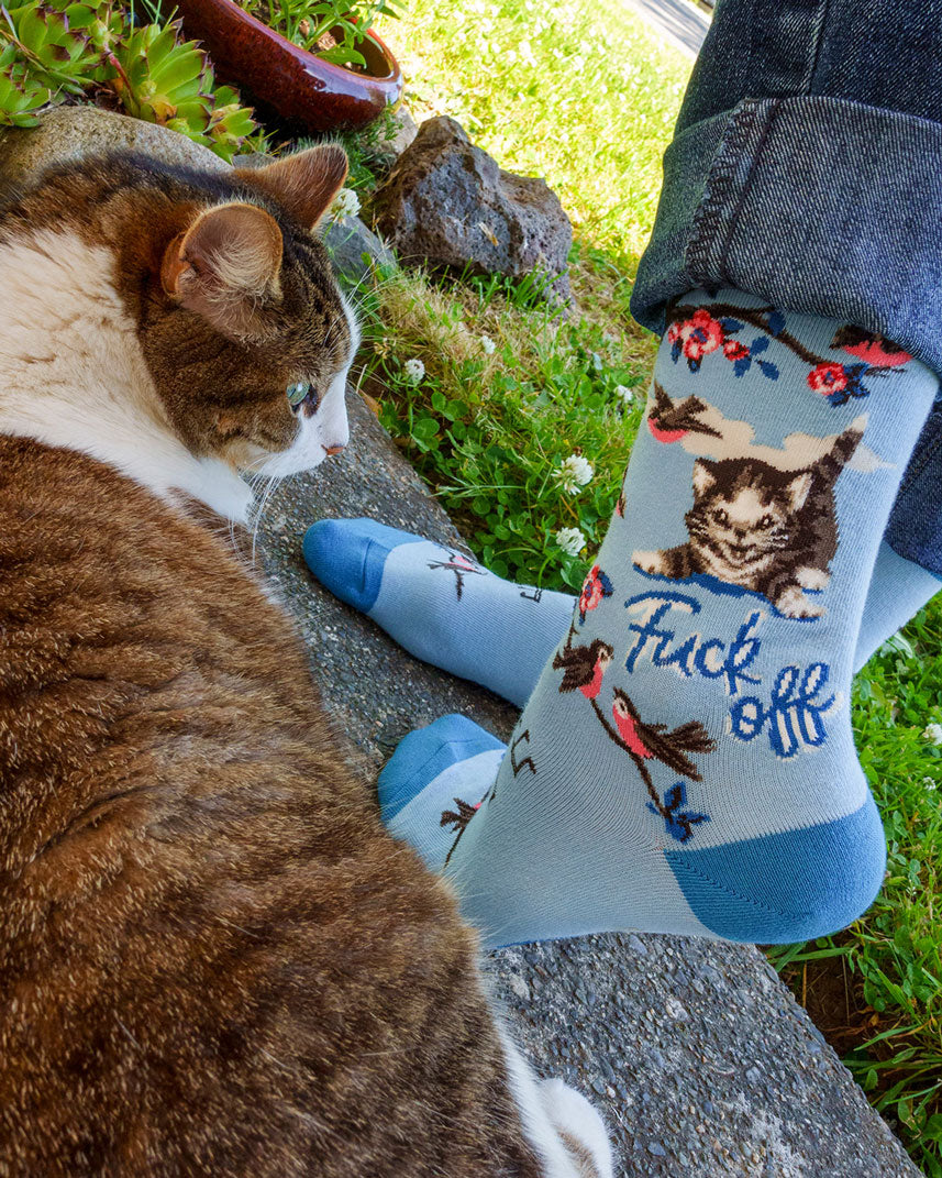 Cat looking at a pair of cat socks that say "Fuck Off"
