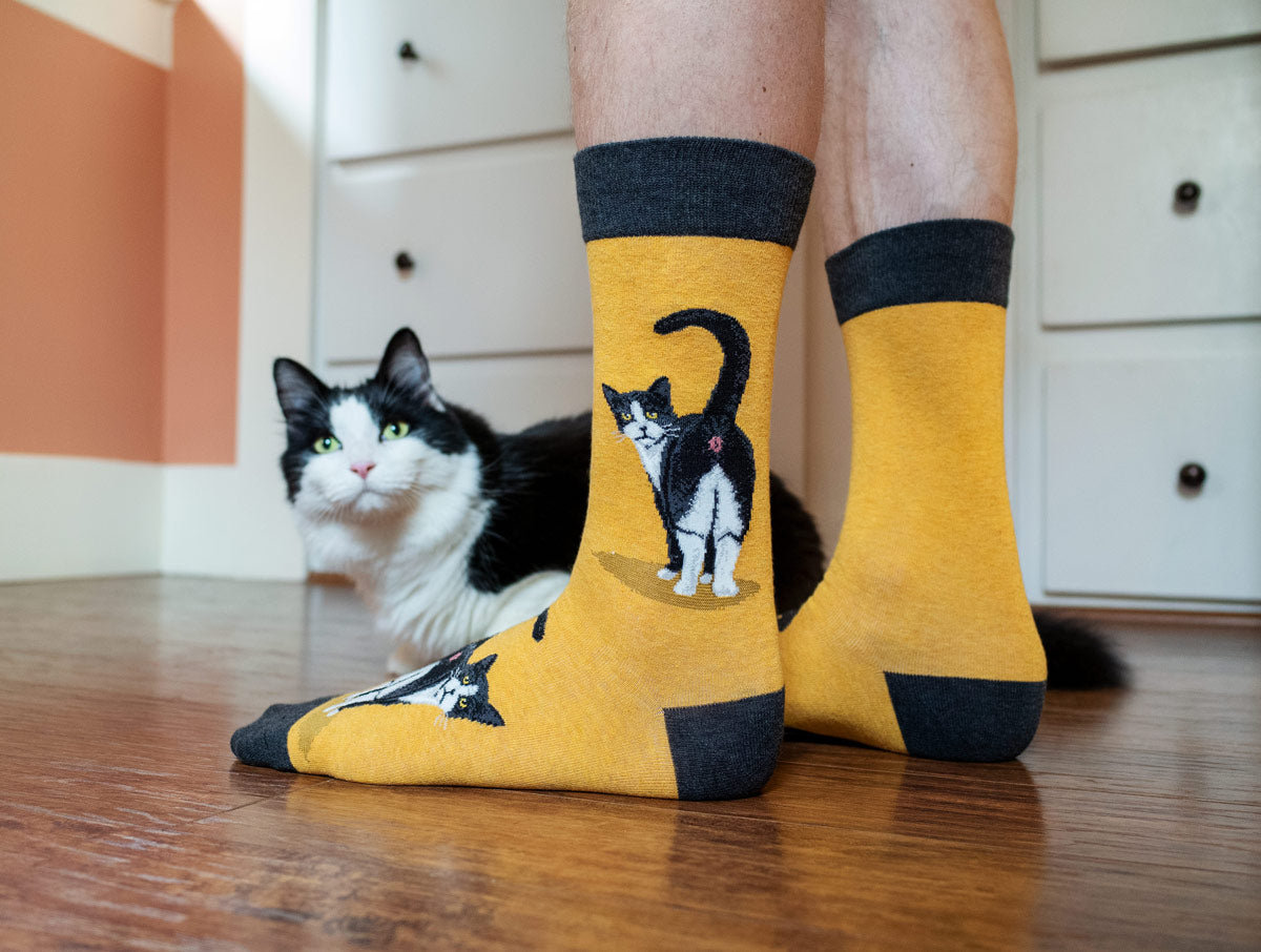 Yellow socks with a tuxedo cat showing its rear end stand beside an actual cat