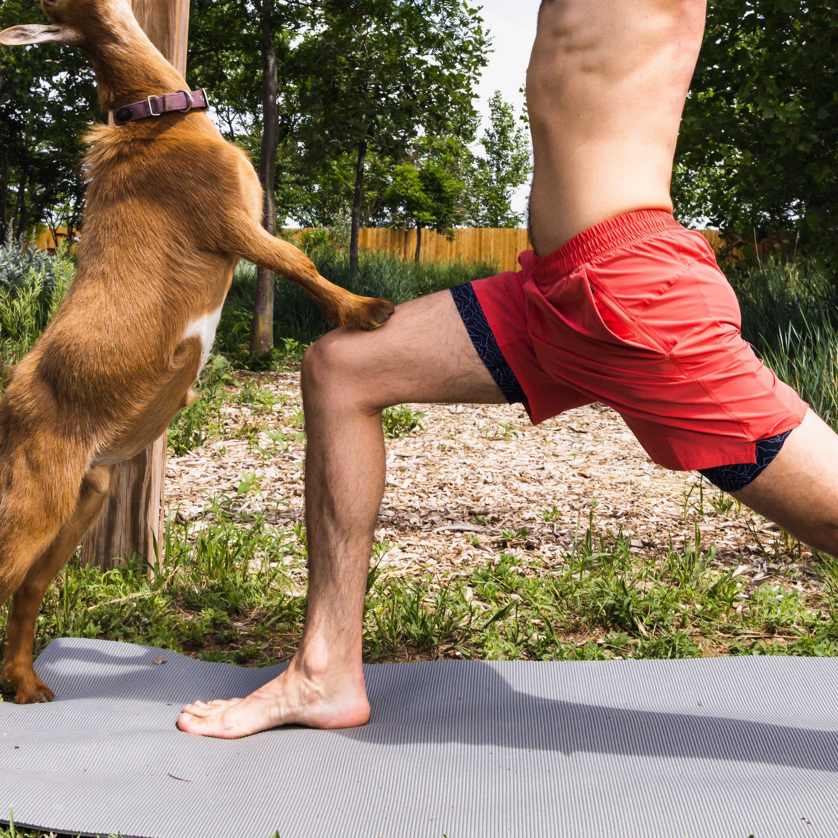 Compression Shorts: WTF?