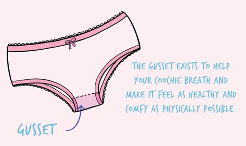 women's underwear gusset