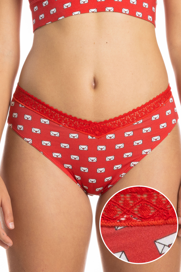 The Secret Admirer | Valentines Lace Trim Cheeky Panty