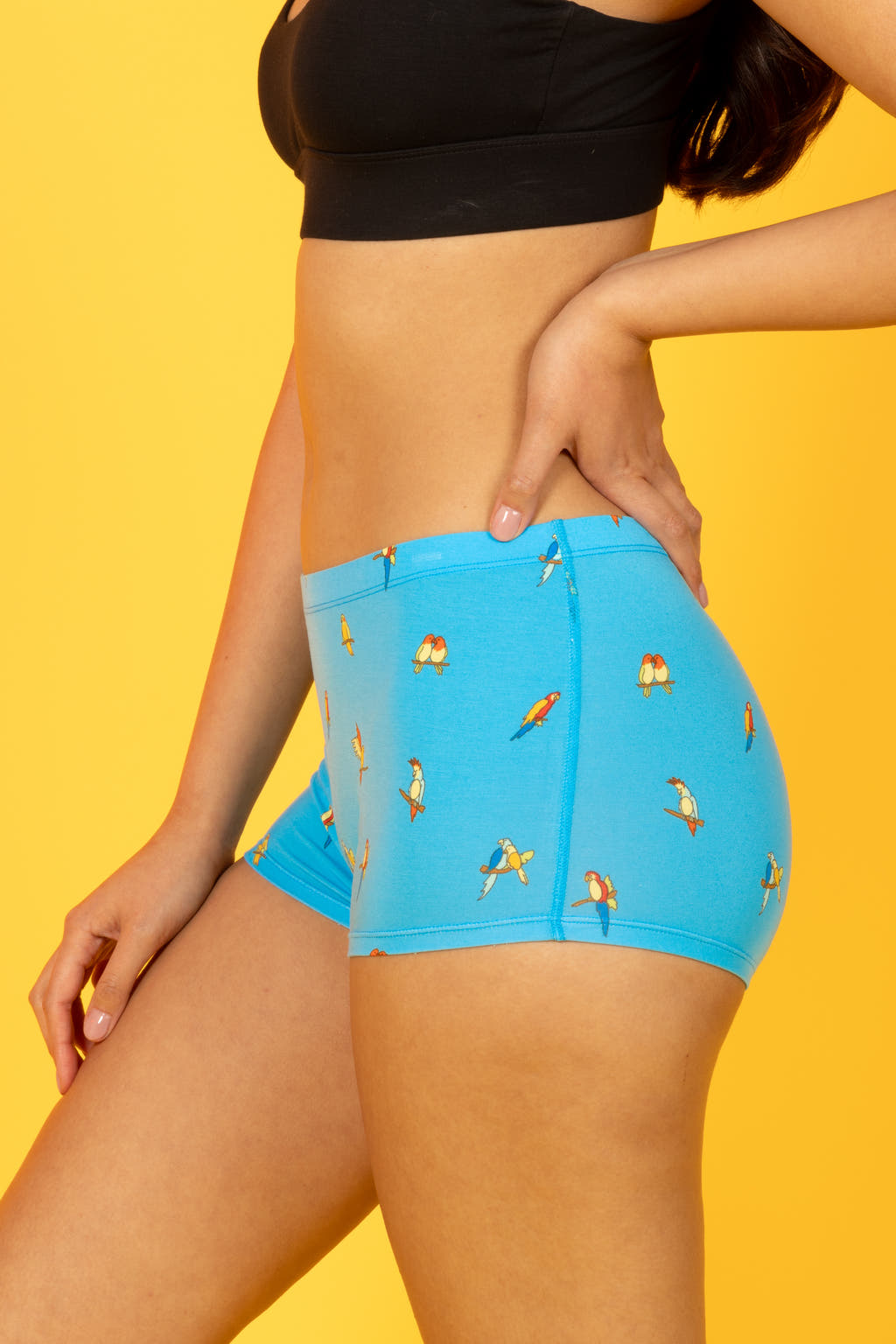 A whimsical pair of Parrot Modal Boyshort Underwear, featuring charming bird designs. From Shinesty, where fun and outlandish clothing reign supreme.