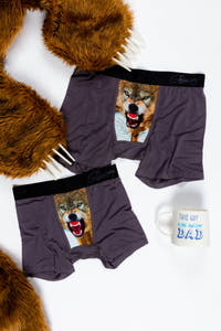 Boys Grey wolf boxer briefs