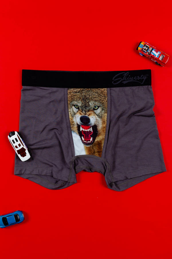 The Pups | Wolf Boxer Briefs For Boys