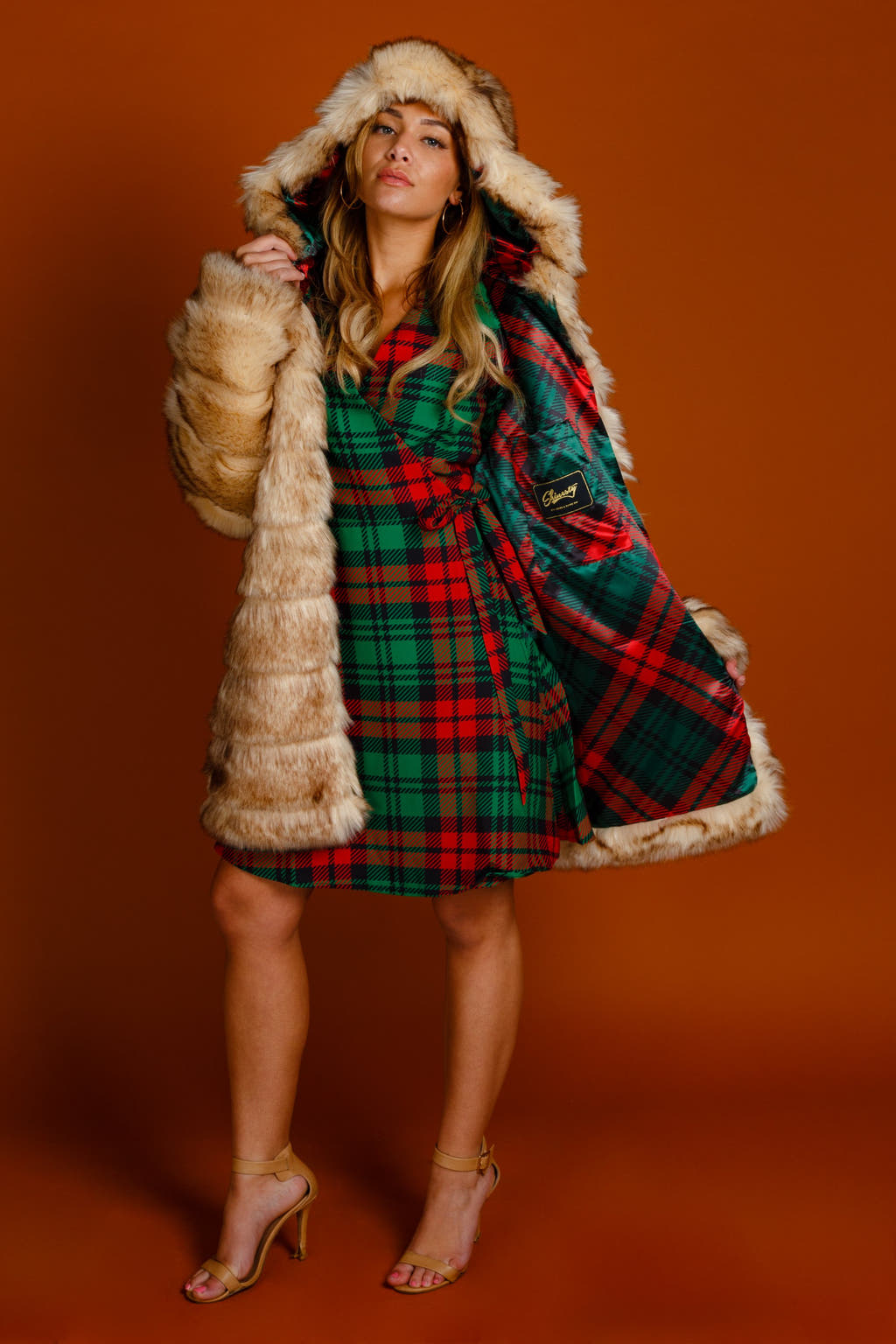 Christmas red and green plaid dress