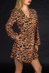Womens Leopard Print Wrap Dress