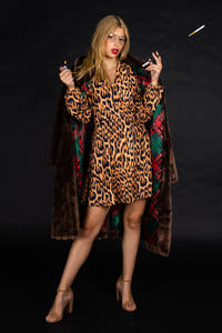Ladies Leopard Print Wrap Dress