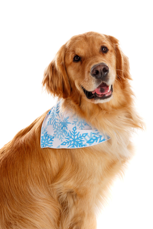 christmas dog handkerchief