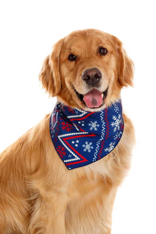 christmas dog handkerchief