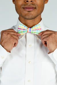 The Savannah Swinger plaid bowtie