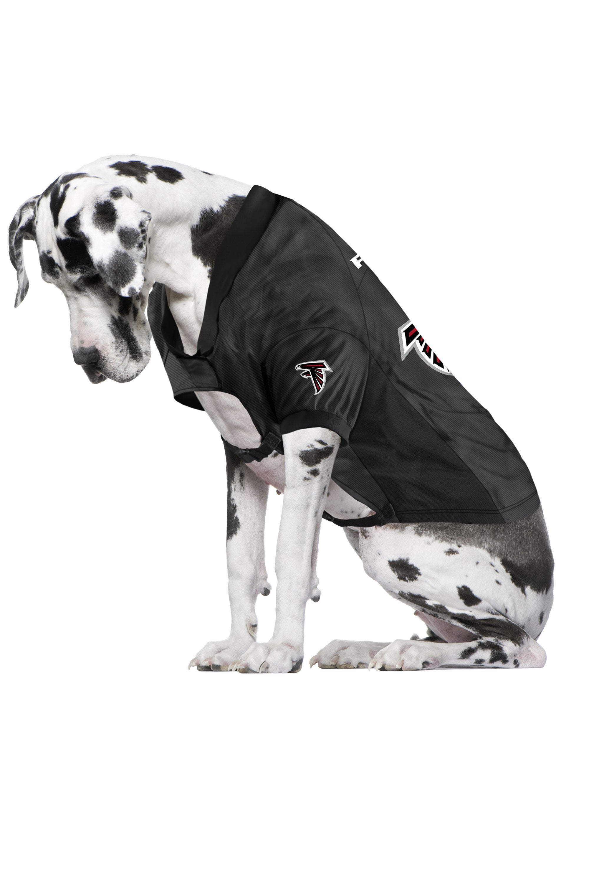 Pet Stretch Jersey  The Atlanta Falcons