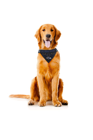 baltimore ravens pet gear