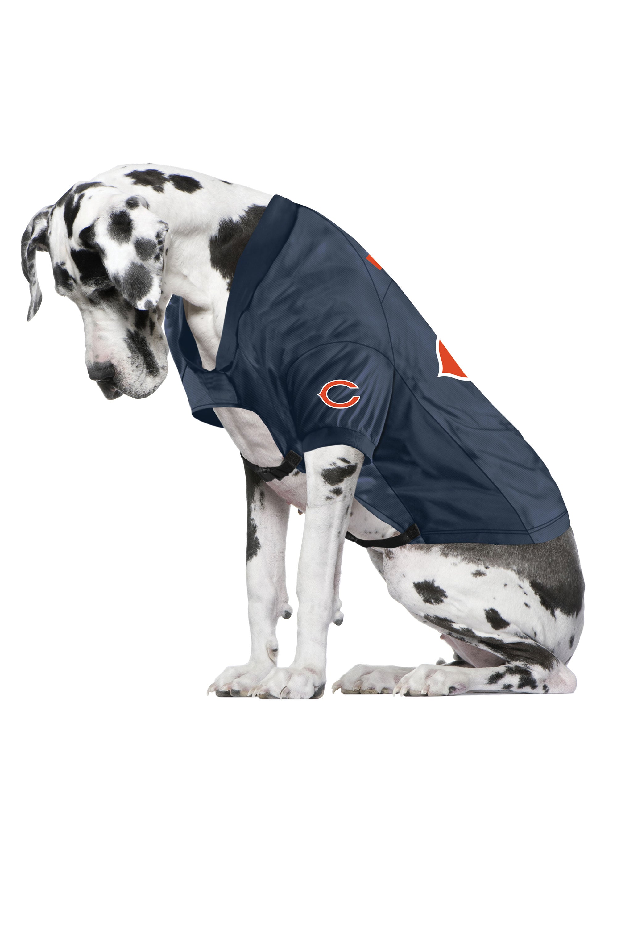 NFL Chicago Bears Small Pet Stretch Jersey