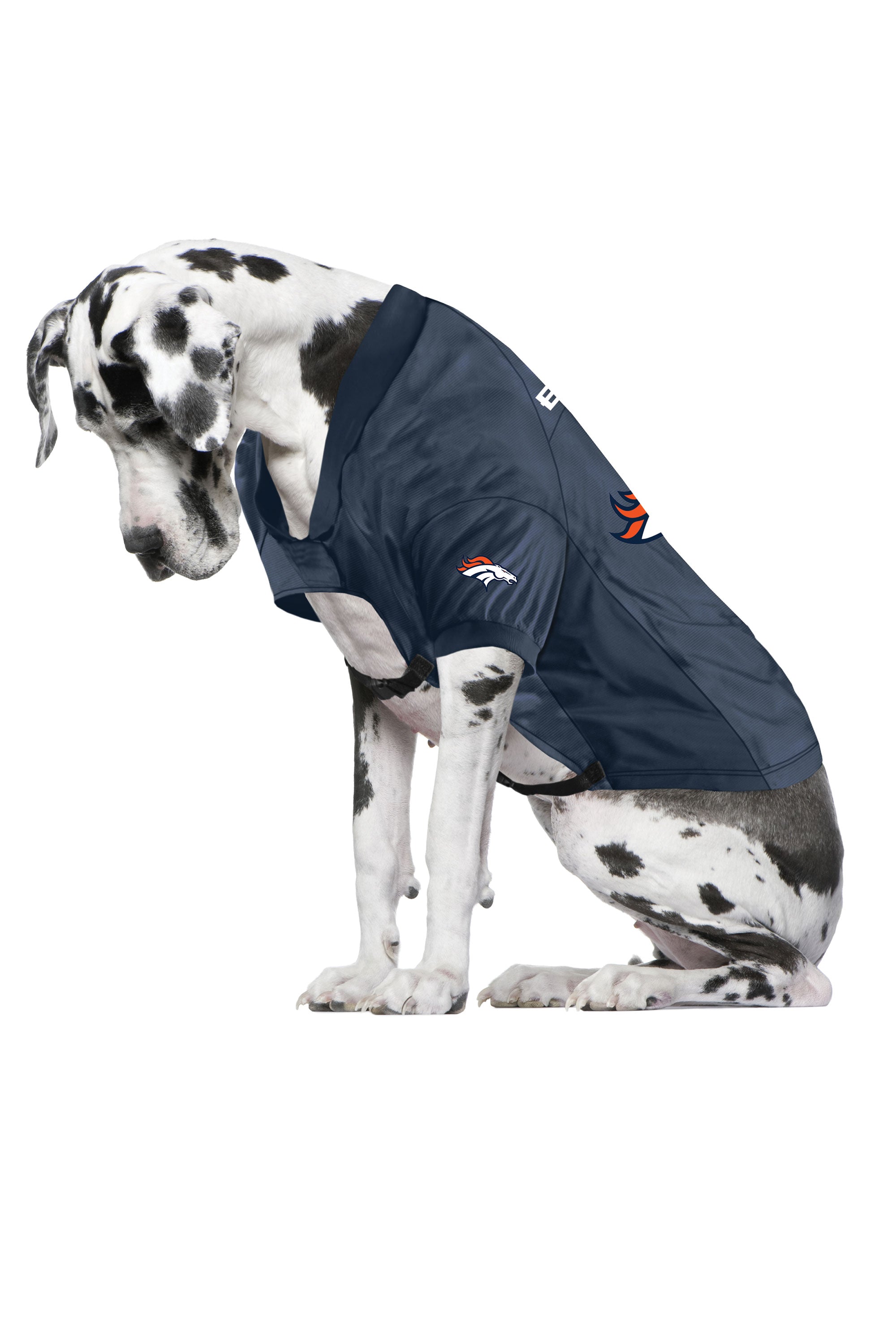 Denver Broncos Pet Stretch Jersey