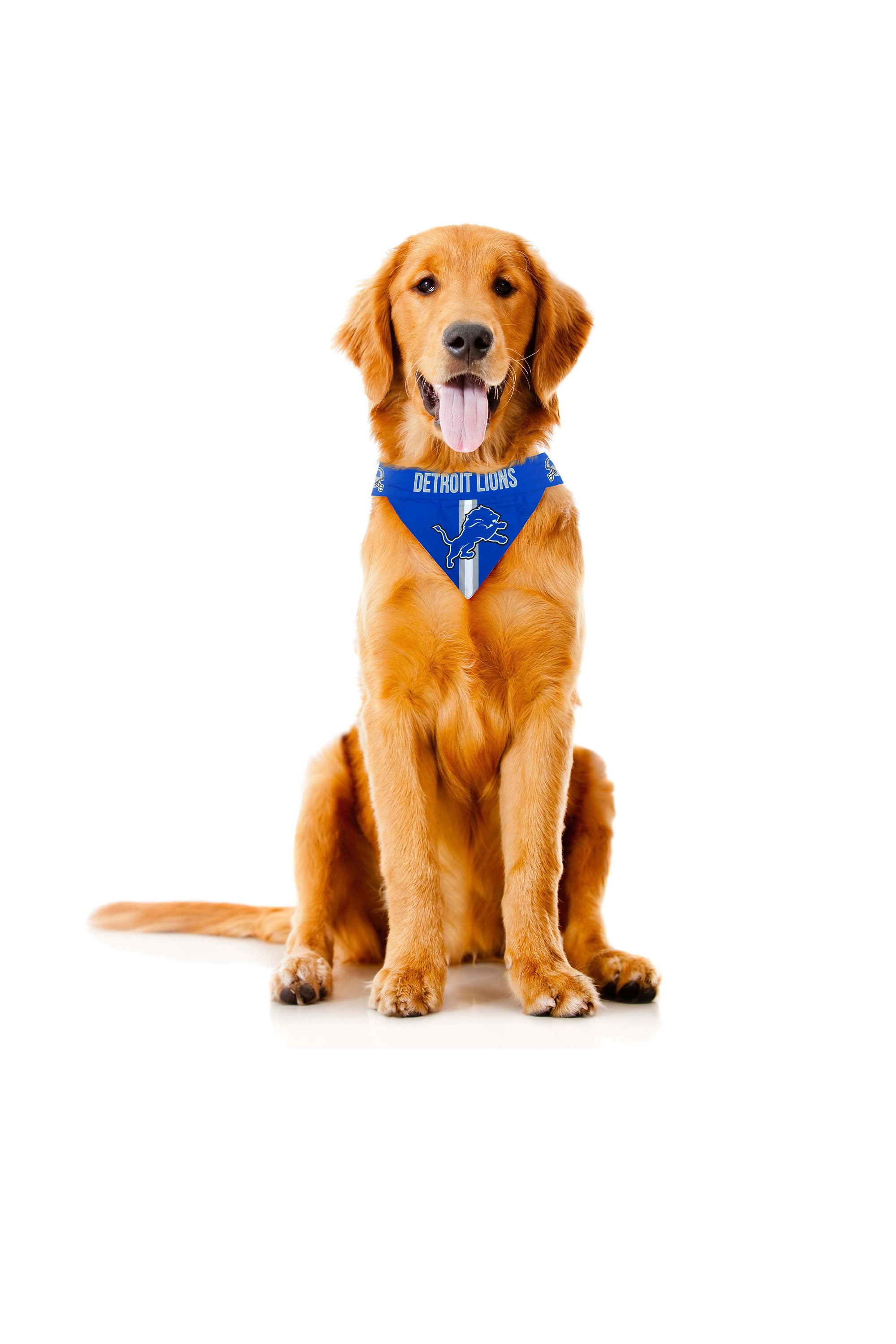 Pet Bandana  The Detroit Lions