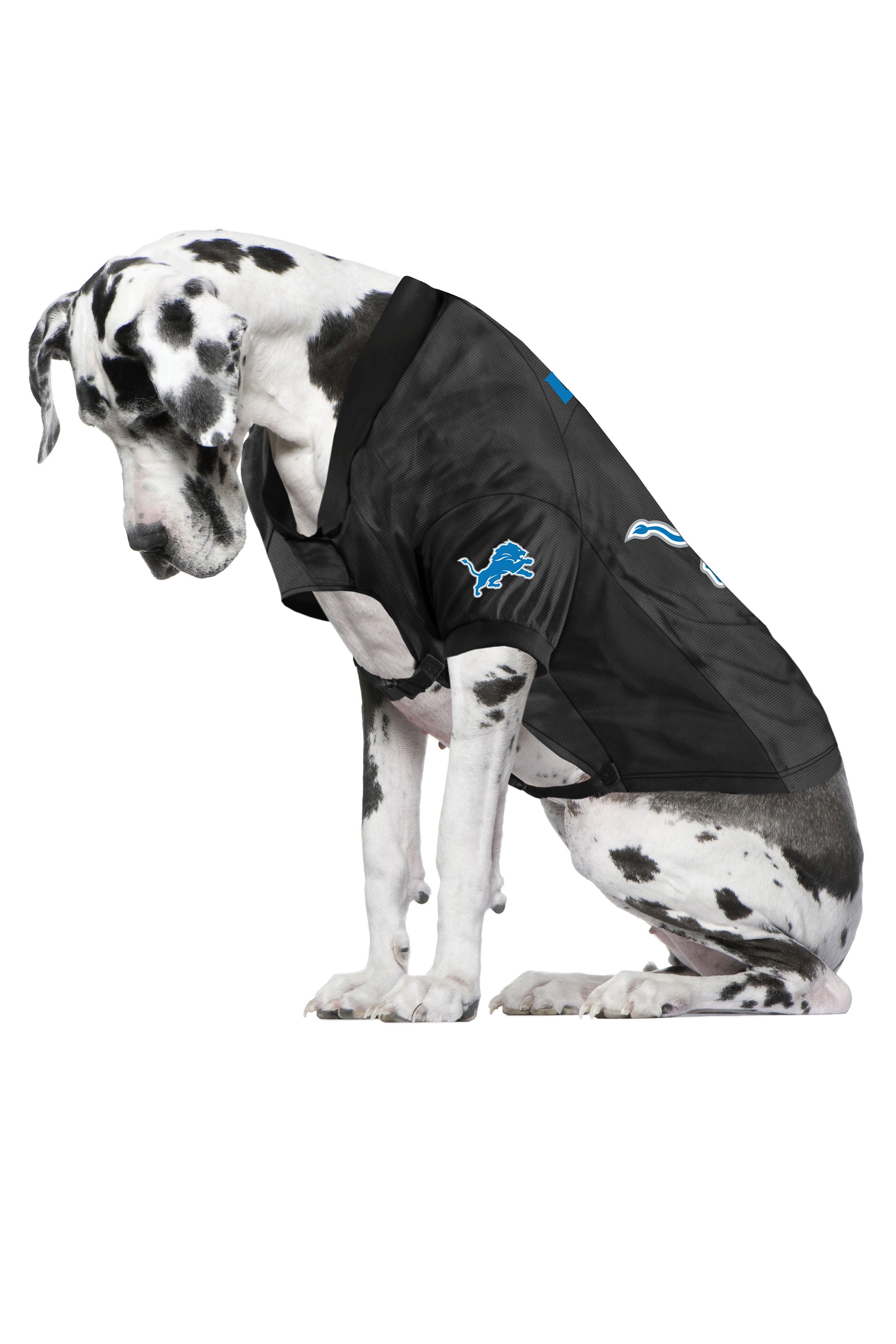 Detroit Lions Dog Jersey