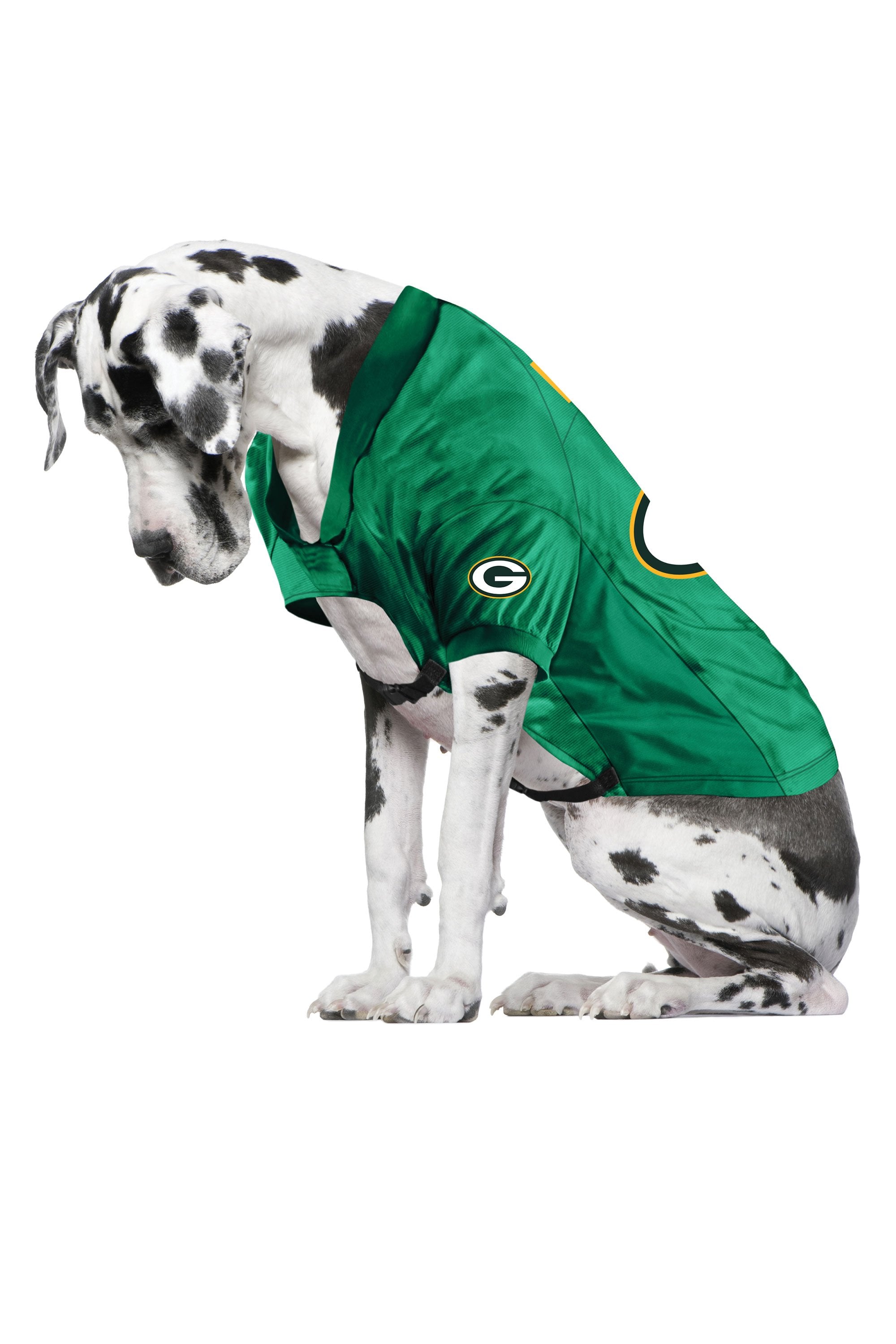 green bay packers dog shirt