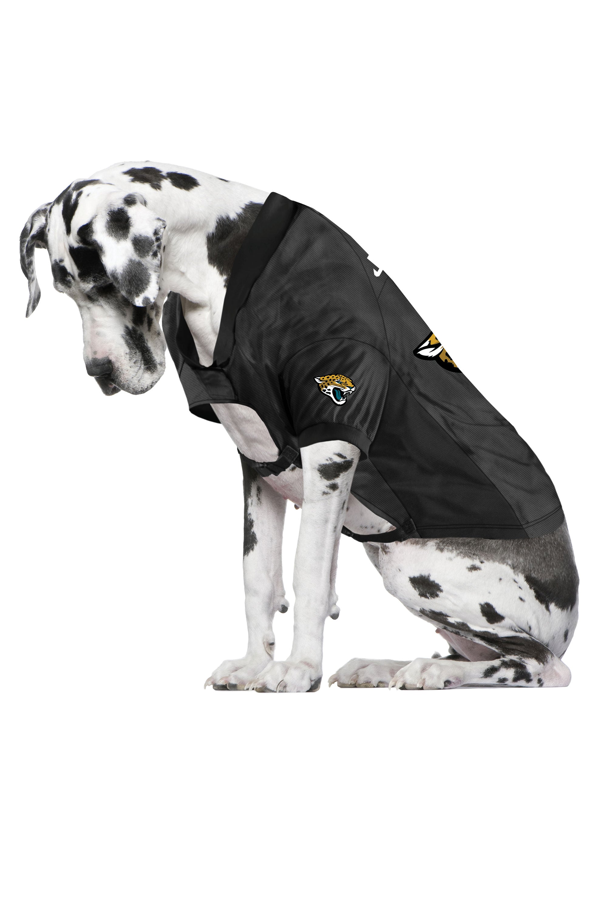 Jacksonville Jaguars Pet Stretch Jersey