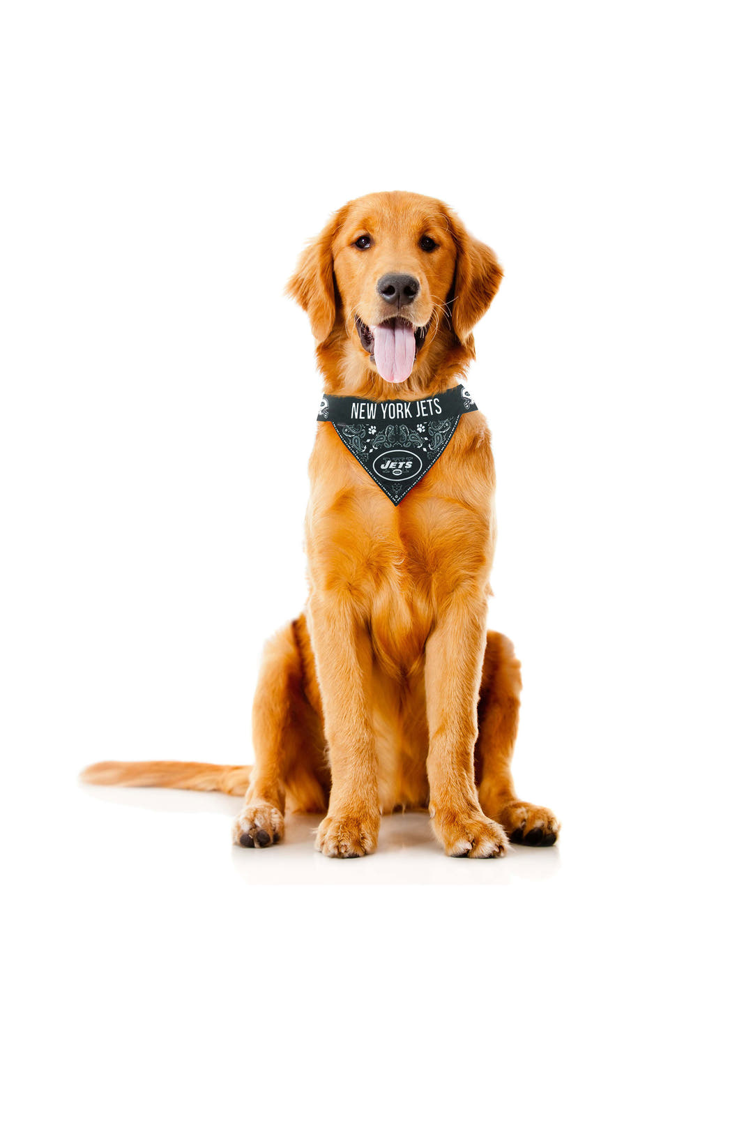 Pet Stretch Jersey  The Philadelphia Eagles