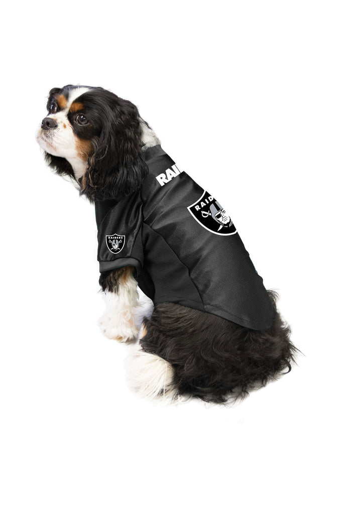 raiders jersey for dogs