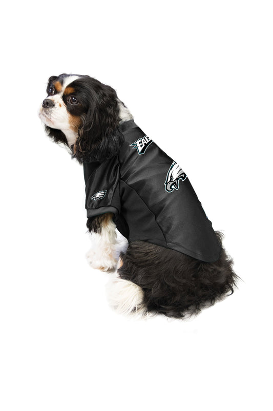 eagles dog jersey xxl