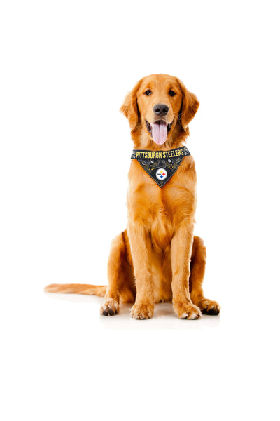 pittsburgh steelers dog bandana