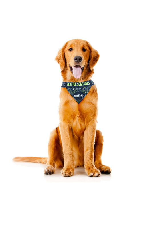 seattle seahawks dog jersey