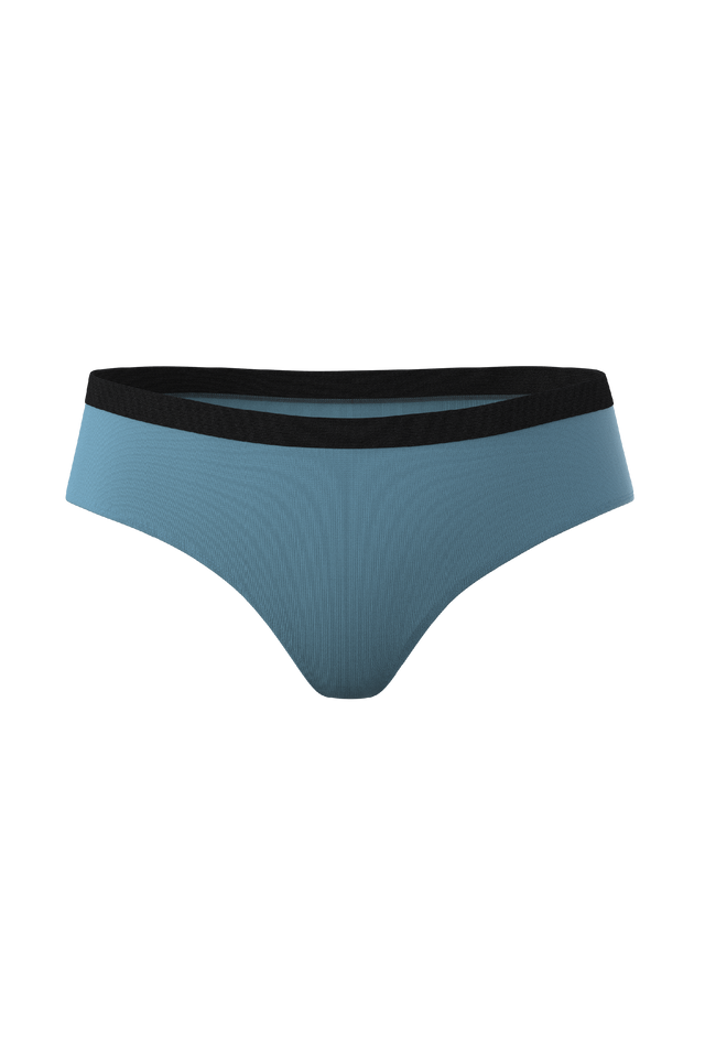 Slate Blue Cheeky Panties | The Neptune
