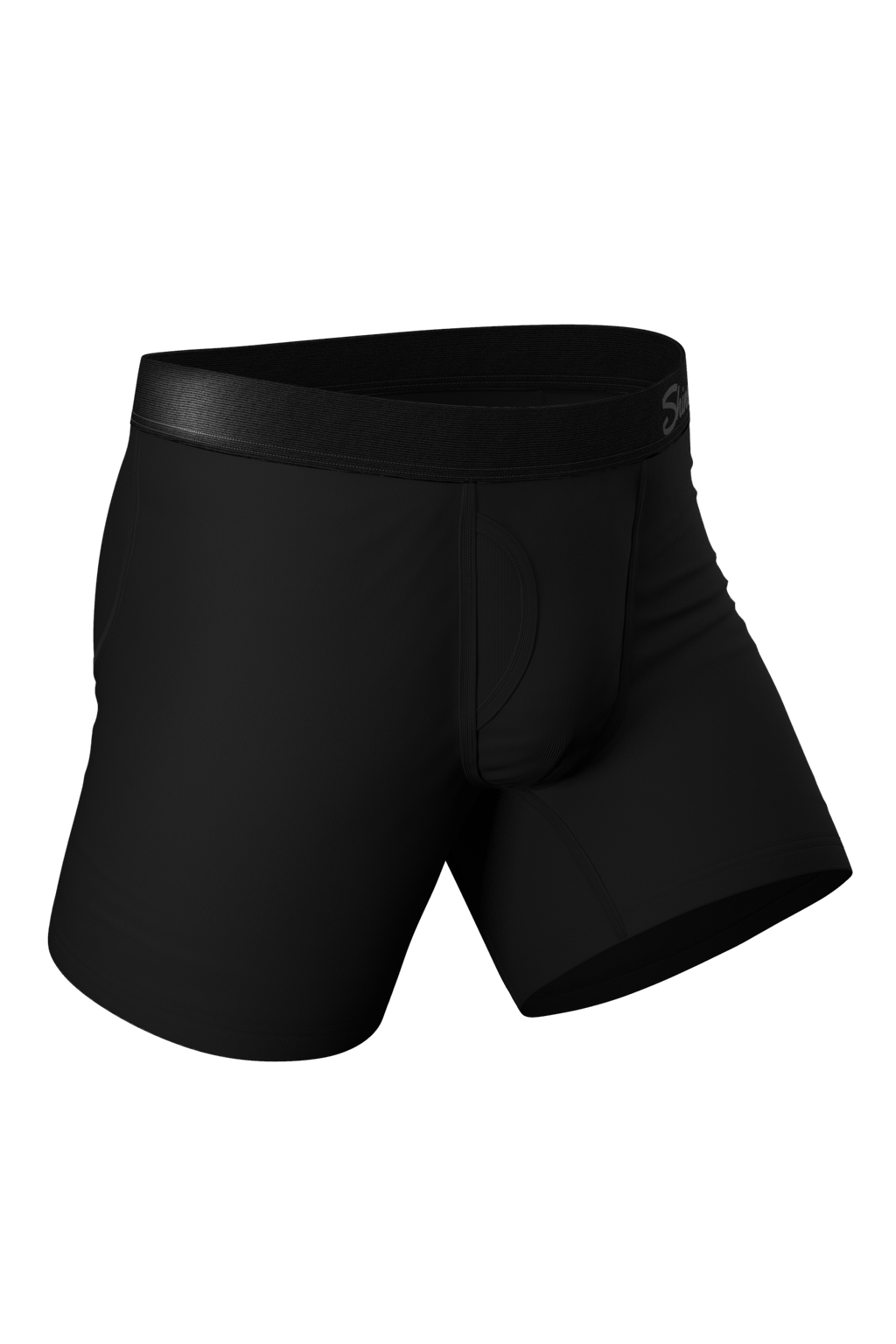 boxer with fly in black