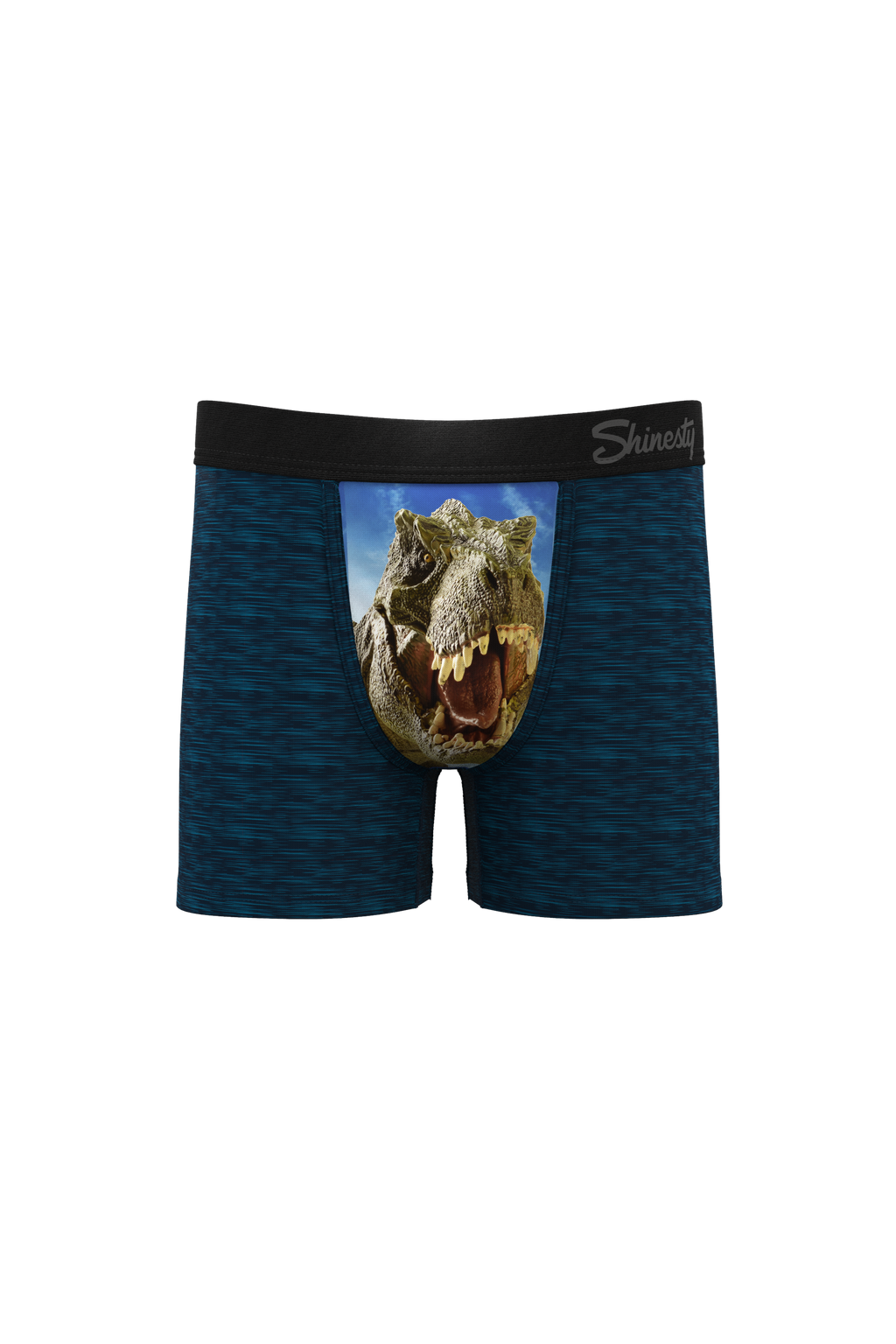 The tyrant lizard boys boxer briefs