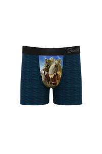 The tyrant lizard boys boxer briefs