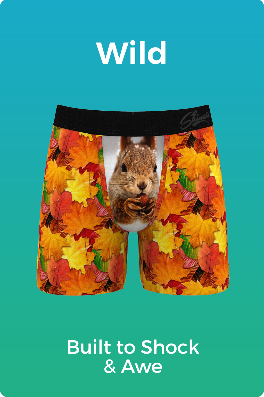 Funny Men's Fall Boxer Briefs By Shinesty