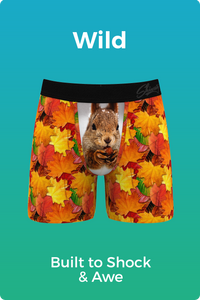 Funny Men's Fall Boxer Briefs By Shinesty