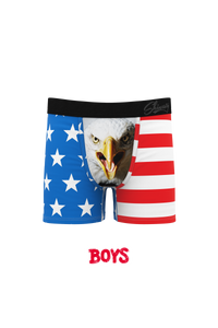 father and son matching american flag eagle ball pouch underwear