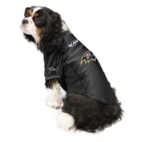 Ravens Outfit for Dogs
