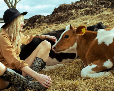 Brook Farm Sanctuary