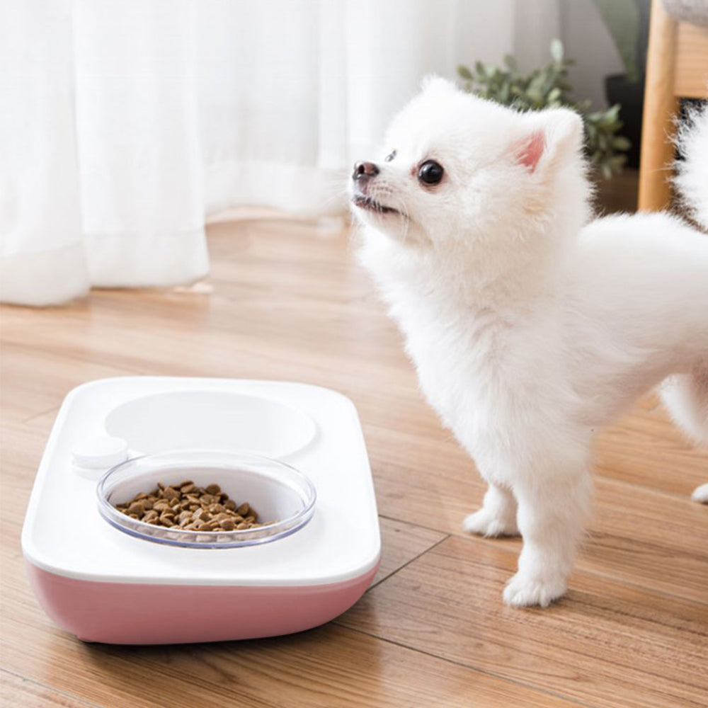 dog food bowl set