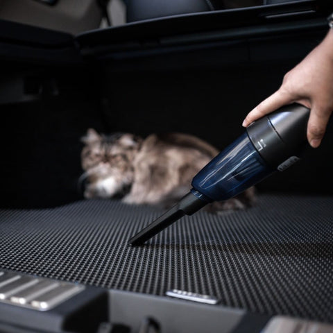 vacuum to clean car mat